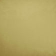 Kasmir Savor Lime Fabric