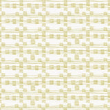 Kasmir Streets Camel Fabric