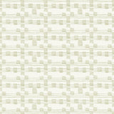 Kasmir Streets Silver Fabric