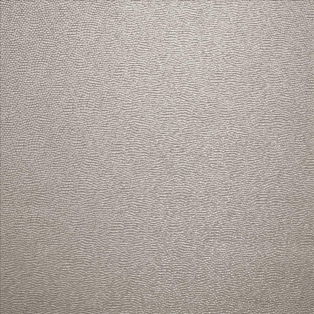 Kasmir Textured Dot Dove Grey Fabric