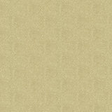 Kasmir Textured Dot Palomino Fabric