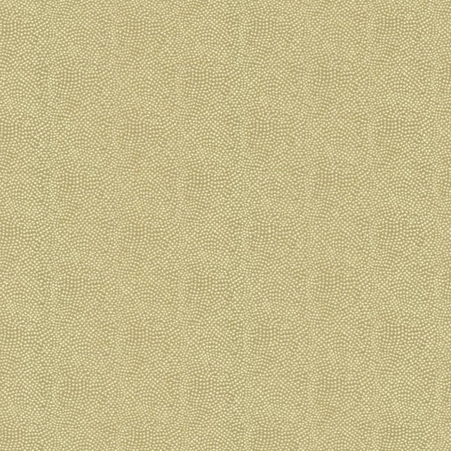 Kasmir Textured Dot Palomino Fabric