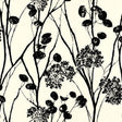 Schumacher Moonpennies Black & Ivory Wallpaper