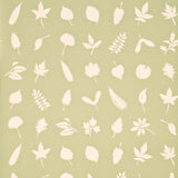 Baker Lifestyle TUMBLING LEAVES GREEN Wallpaper
