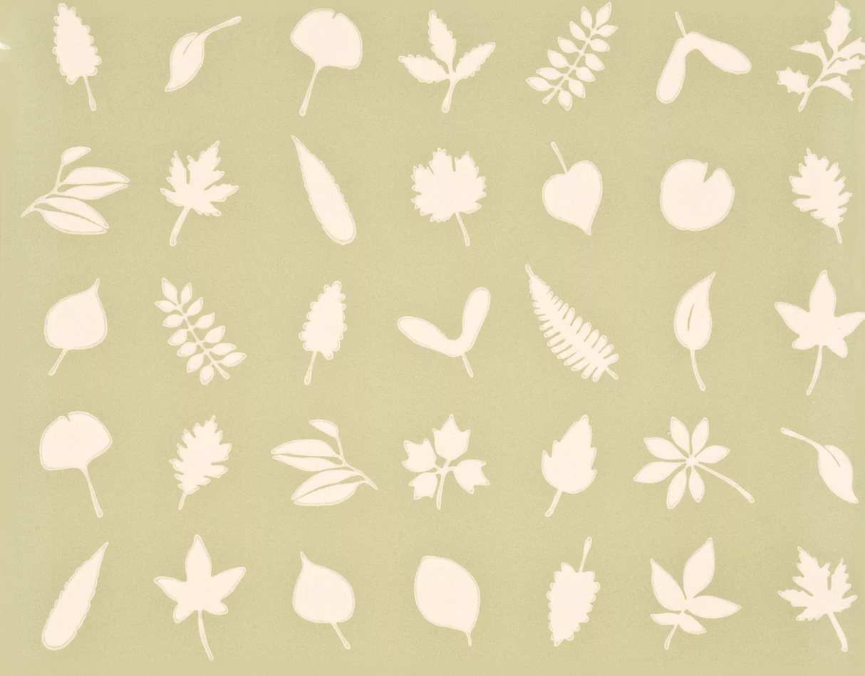 Baker Lifestyle TUMBLING LEAVES GREEN Wallpaper