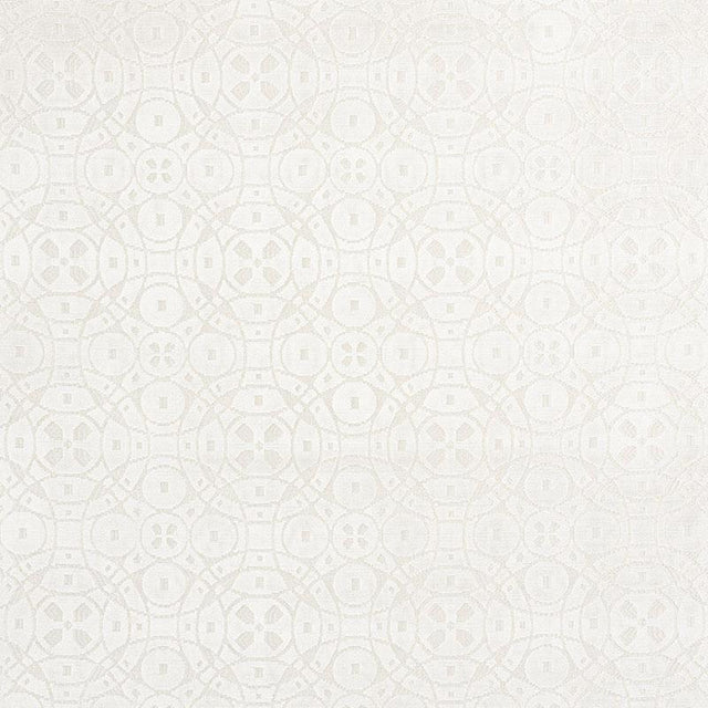 Schumacher Zodiac Velvet Platinum Fabric