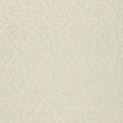Schumacher Madras Vine Sheer Ecru Fabric