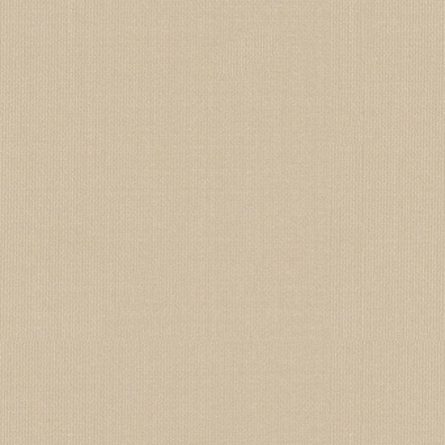 Schumacher Sargent Silk Taffeta Alabaster Fabric