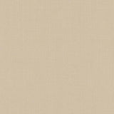 Schumacher Sargent Silk Taffeta Alabaster Fabric