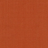 Schumacher Sargent Silk Taffeta Mandarin Fabric