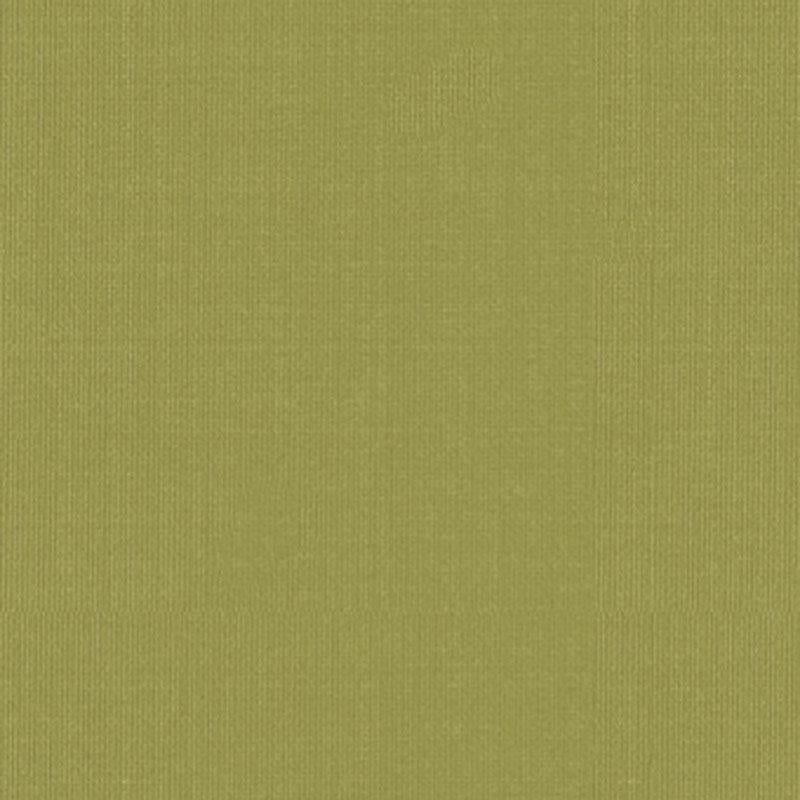 Schumacher Sargent Silk Taffeta Linden Fabric