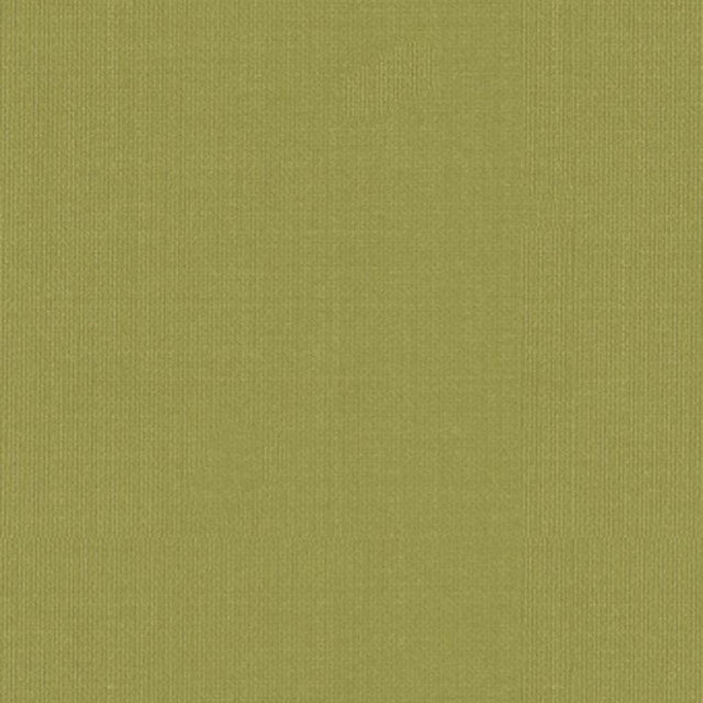 Schumacher Sargent Silk Taffeta Linden Fabric