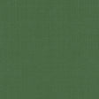 Schumacher Sargent Silk Taffeta Grass Fabric
