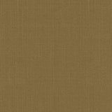 Schumacher Sargent Silk Taffeta Topaz Fabric