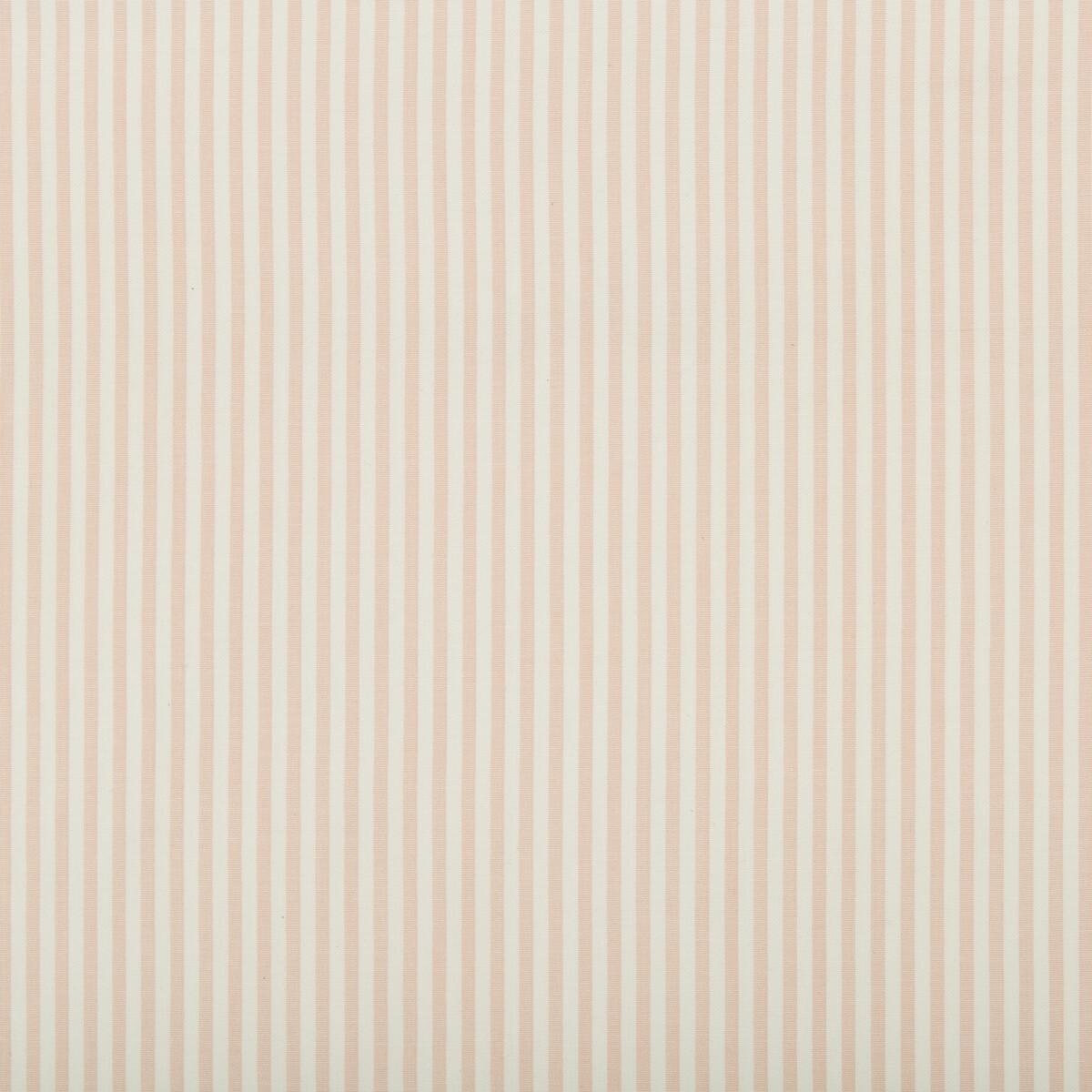 Lee Jofa Cap Ferrat Stripe Pink Fabric