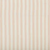 Lee Jofa Cap Ferrat Stripe Pink Fabric