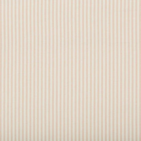 Lee Jofa Cap Ferrat Stripe Pink Fabric
