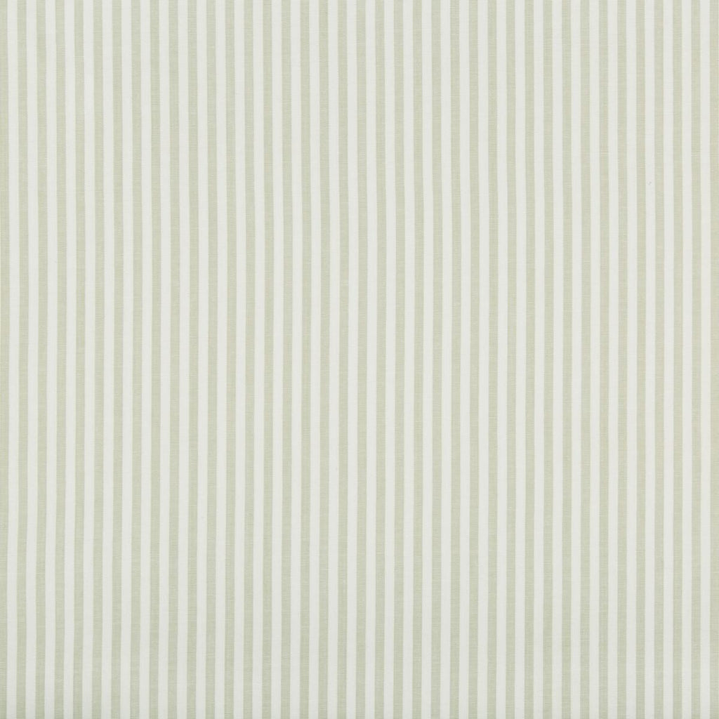 Lee Jofa Cap Ferrat Stripe Leaf Fabric