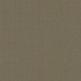 Schumacher Sargent Silk Taffeta Pebble Fabric
