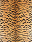 Scalamandre Tiger | Silk Brown On Gold Fabric