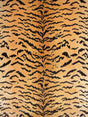 Scalamandre Tiger | Silk Brown On Gold Fabric
