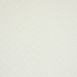 Stout ZAGG BONE Fabric