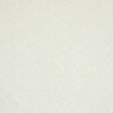 Stout ZAGG BONE Fabric