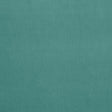 Schumacher Gainsborough Velvet Spray Fabric