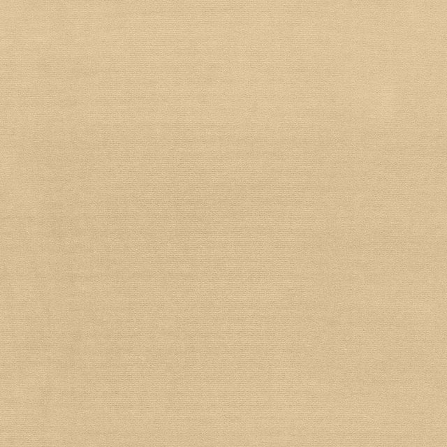 Schumacher Gainsborough Velvet Eggshell Fabric