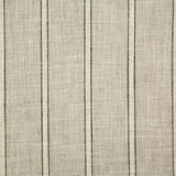 Pindler DURANT THUNDER Fabric