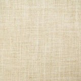 Pindler DRINA NATURAL Fabric