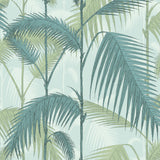 Cole & Son PALM JUNGLE PRINT ROOM BLUE/MINT Wallpaper