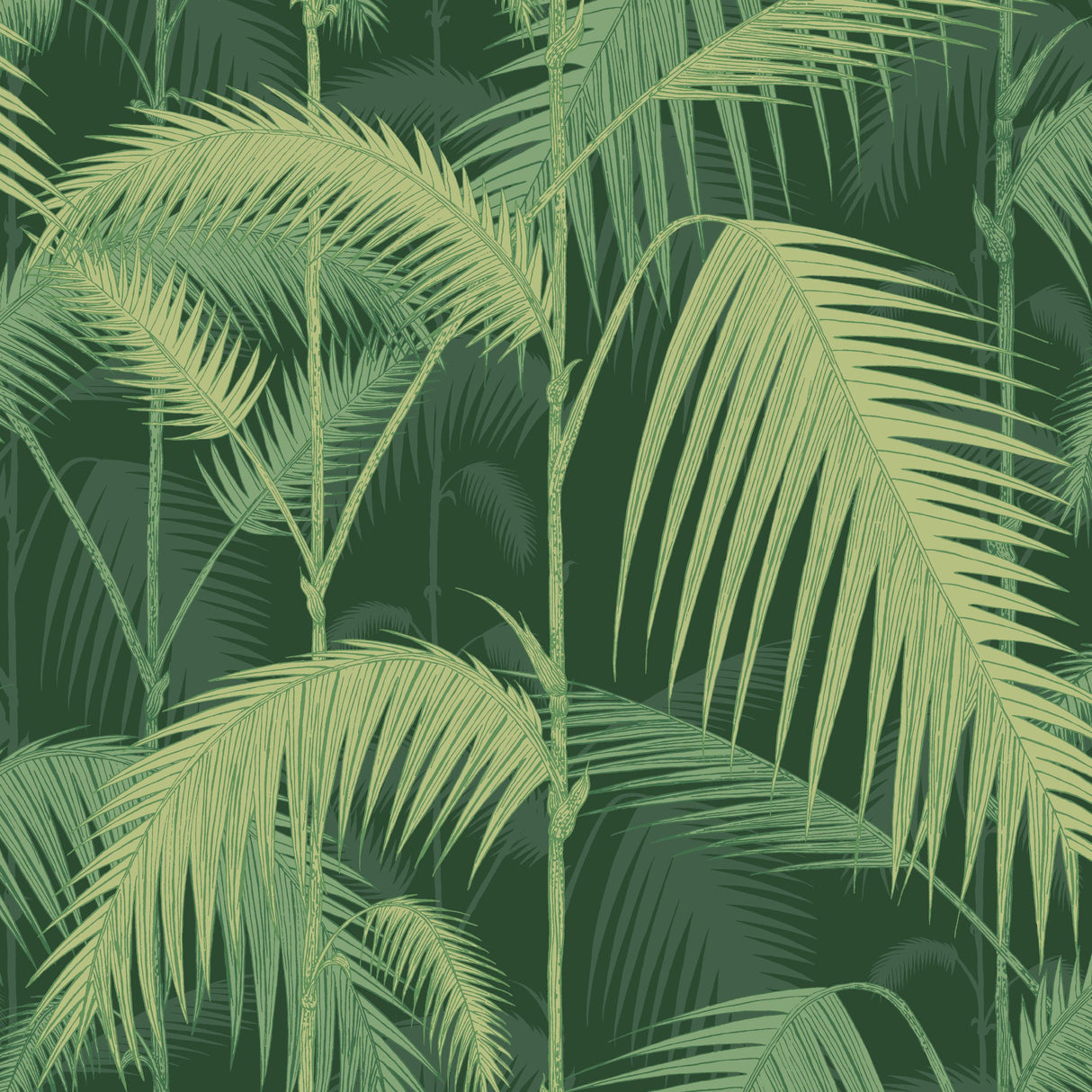 Cole & Son PALM JUNGLE LEAF GREEN Wallpaper