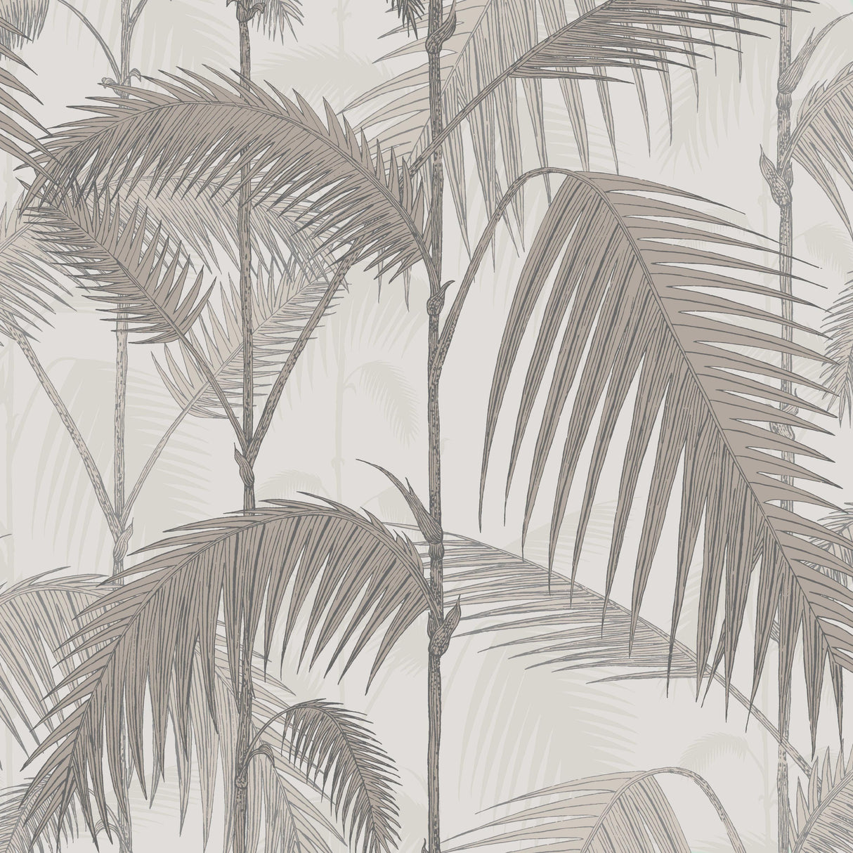Cole & Son PALM JUNGLE STONE/TAUPE Wallpaper