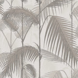 Cole & Son PALM JUNGLE STONE/TAUPE Wallpaper