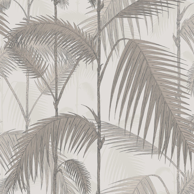 Cole & Son PALM JUNGLE STONE/TAUPE Wallpaper