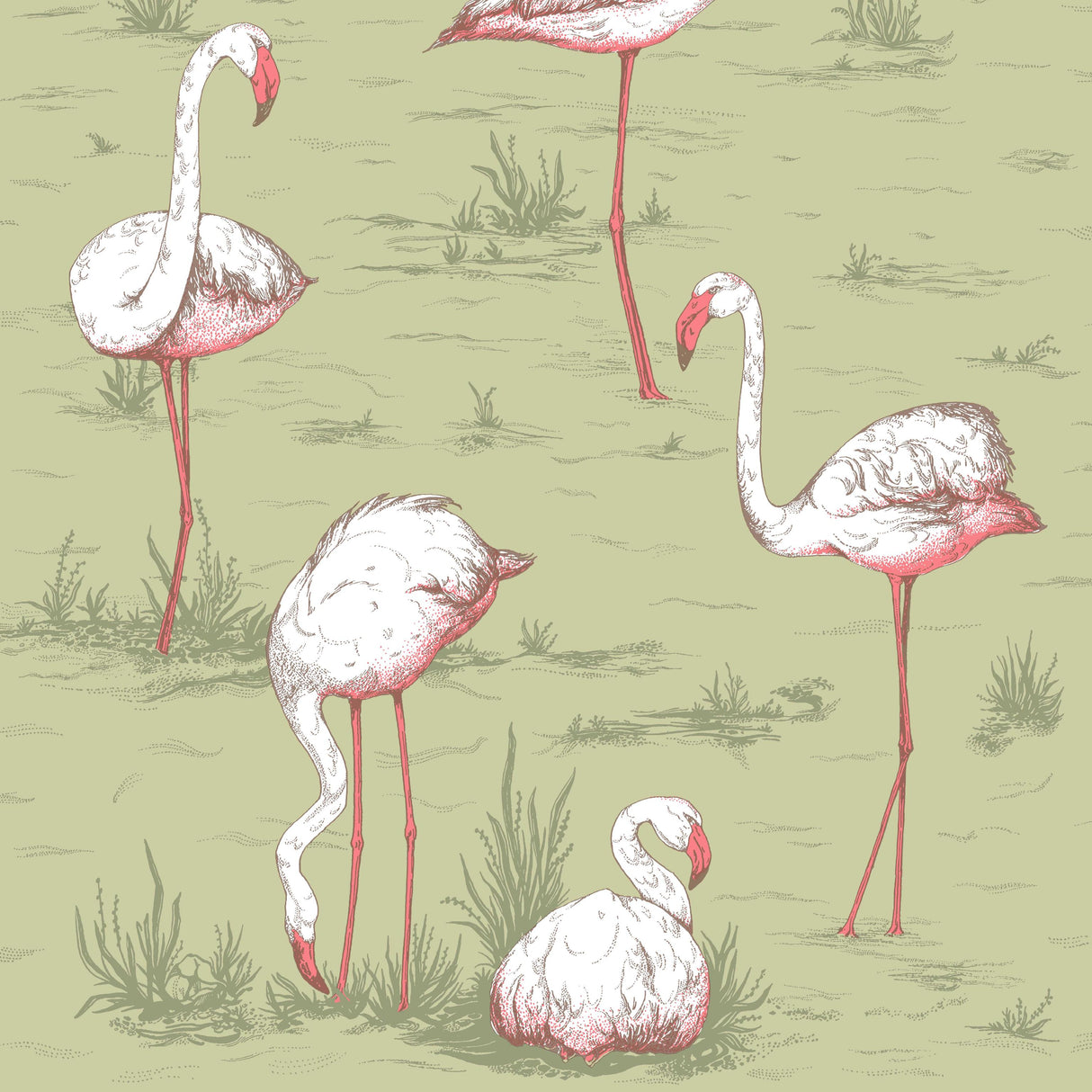 Cole & Son FLAMINGOS OLIVE Wallpaper
