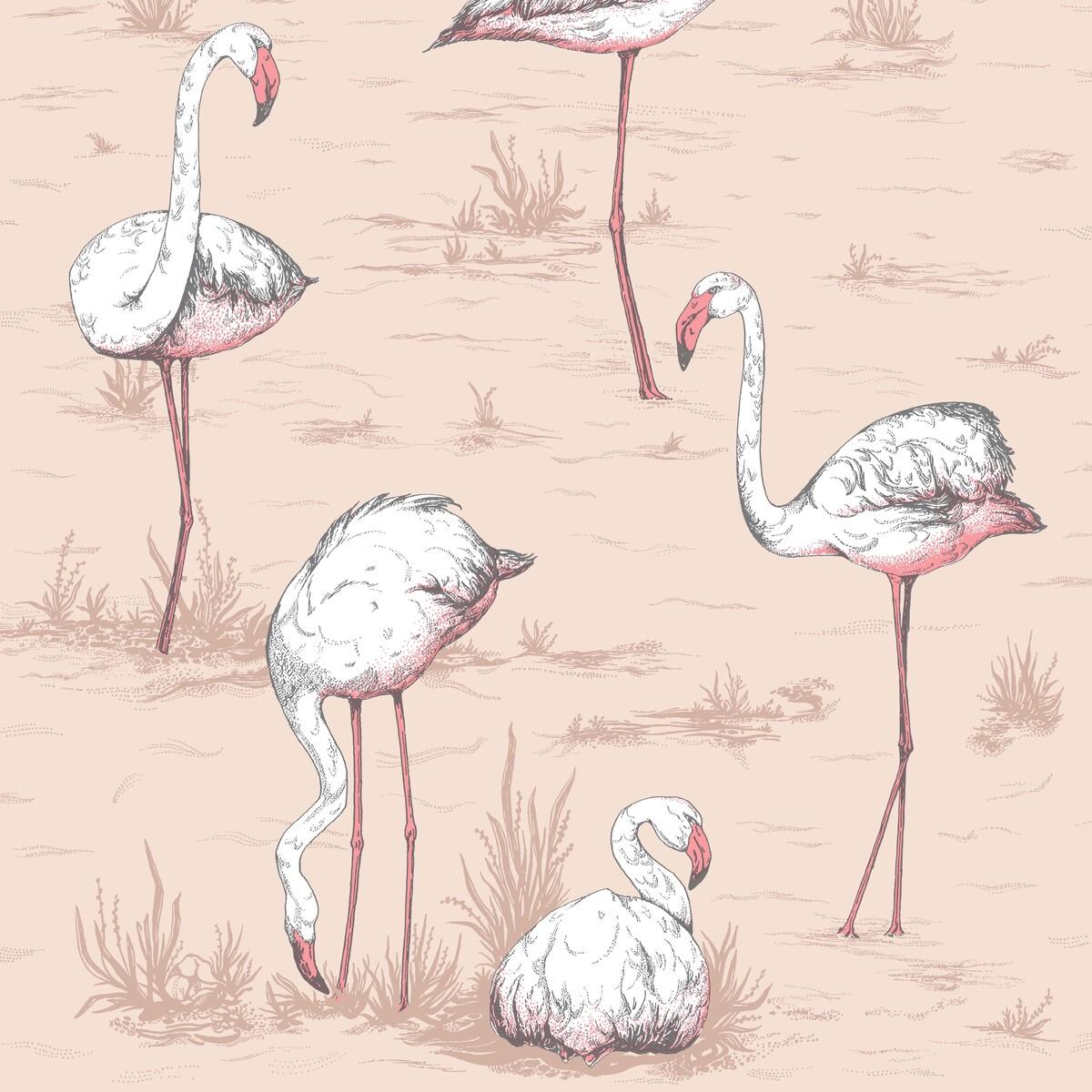 Cole & Son Flamingos Plaster Pink Wallpaper