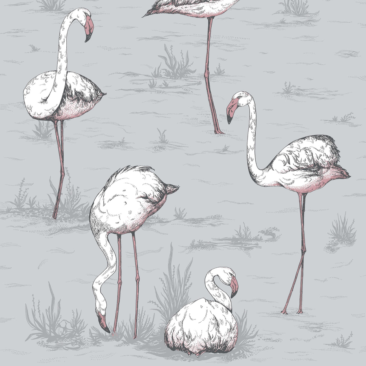 Cole & Son FLAMINGOS GREY Wallpaper