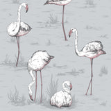 Cole & Son FLAMINGOS GREY Wallpaper