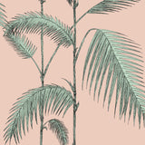 Cole & Son PALM LEAVES PLASTER PINK/MINT Wallpaper