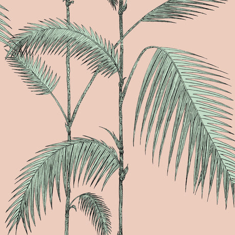 Cole & Son PALM LEAVES PLASTER PINK/MINT Wallpaper