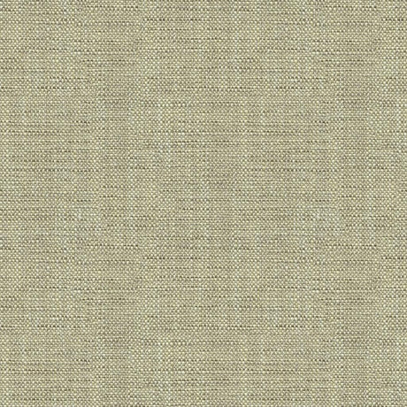 Kravet LAMSON PEWTER Upholstery Fabric