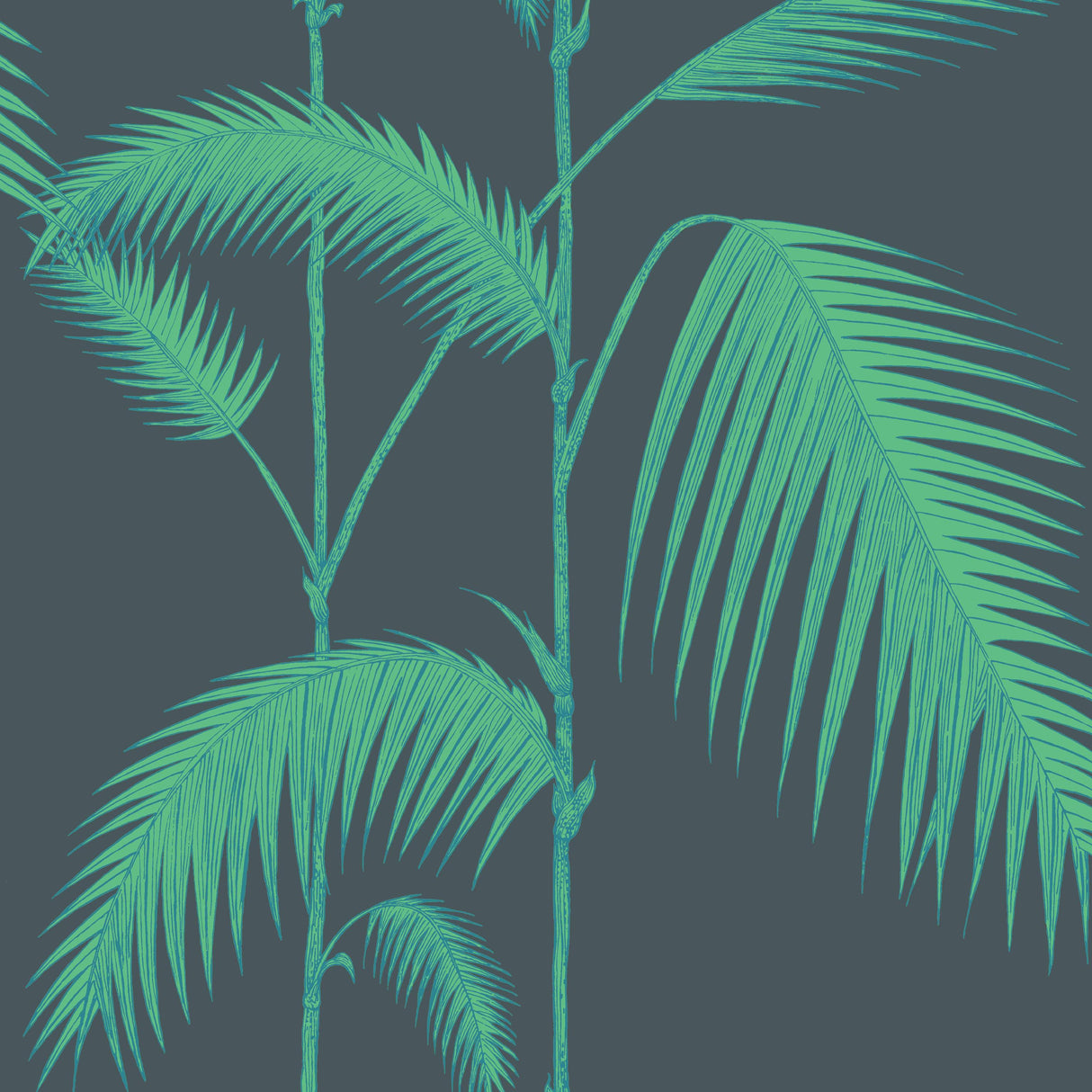 Cole & Son PALM LEAVES VIRIDIAN Wallpaper