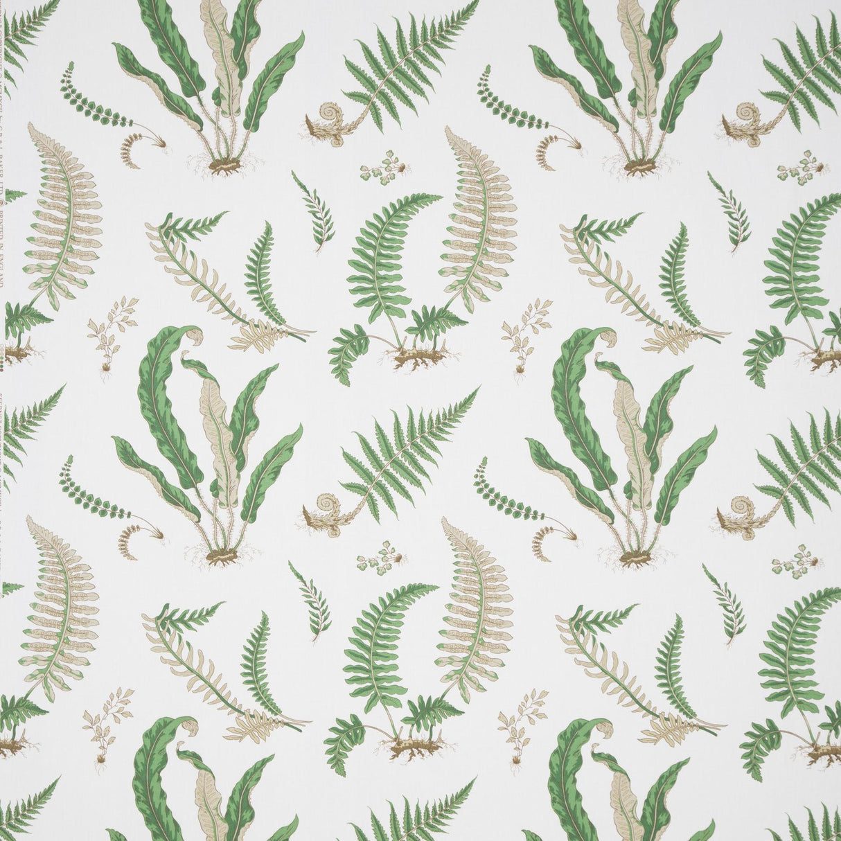 Lee Jofa FERNS PRINT SNOW Fabric