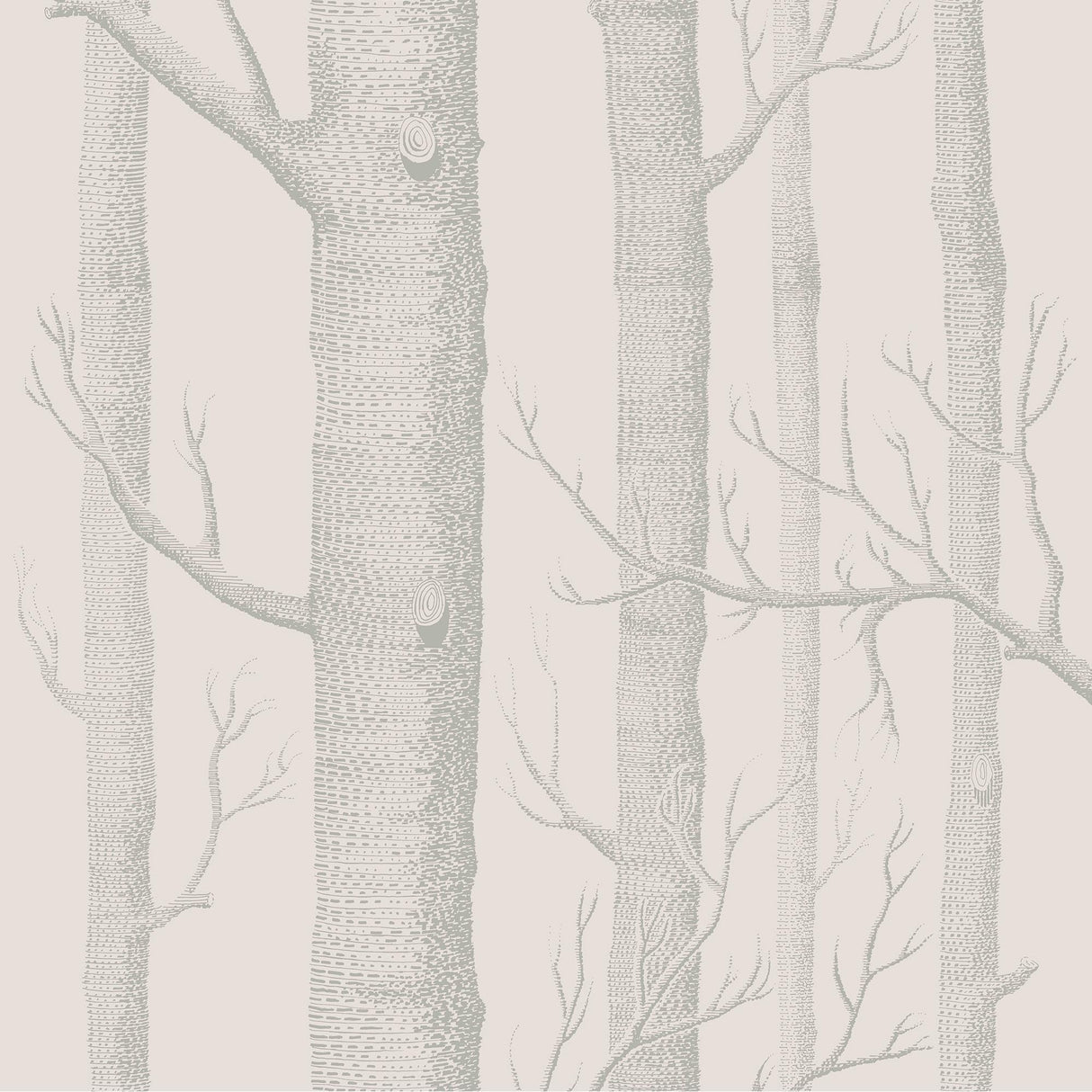 Cole & Son WOODS PARCHMENT Wallpaper