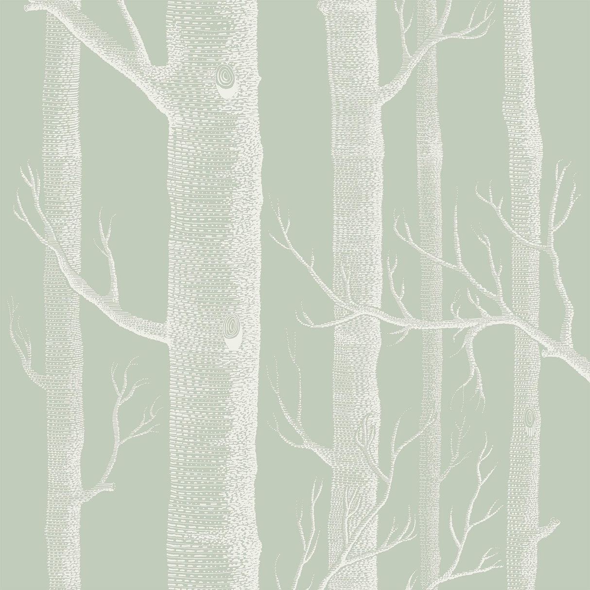 Cole & Son WOODS OLD OLIVE Wallpaper