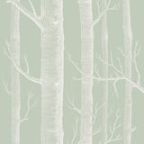 Cole & Son WOODS OLD OLIVE Wallpaper