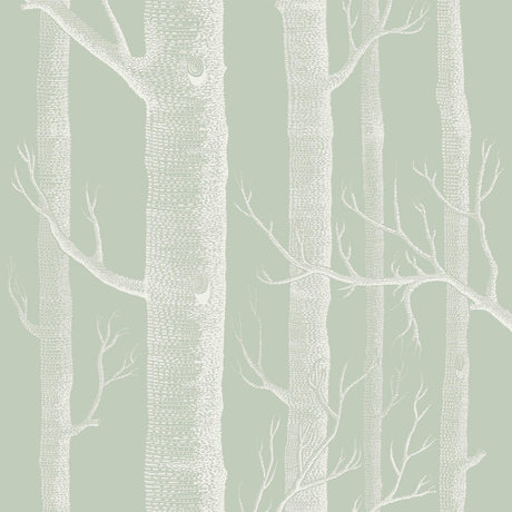 Cole & Son WOODS OLD OLIVE Wallpaper