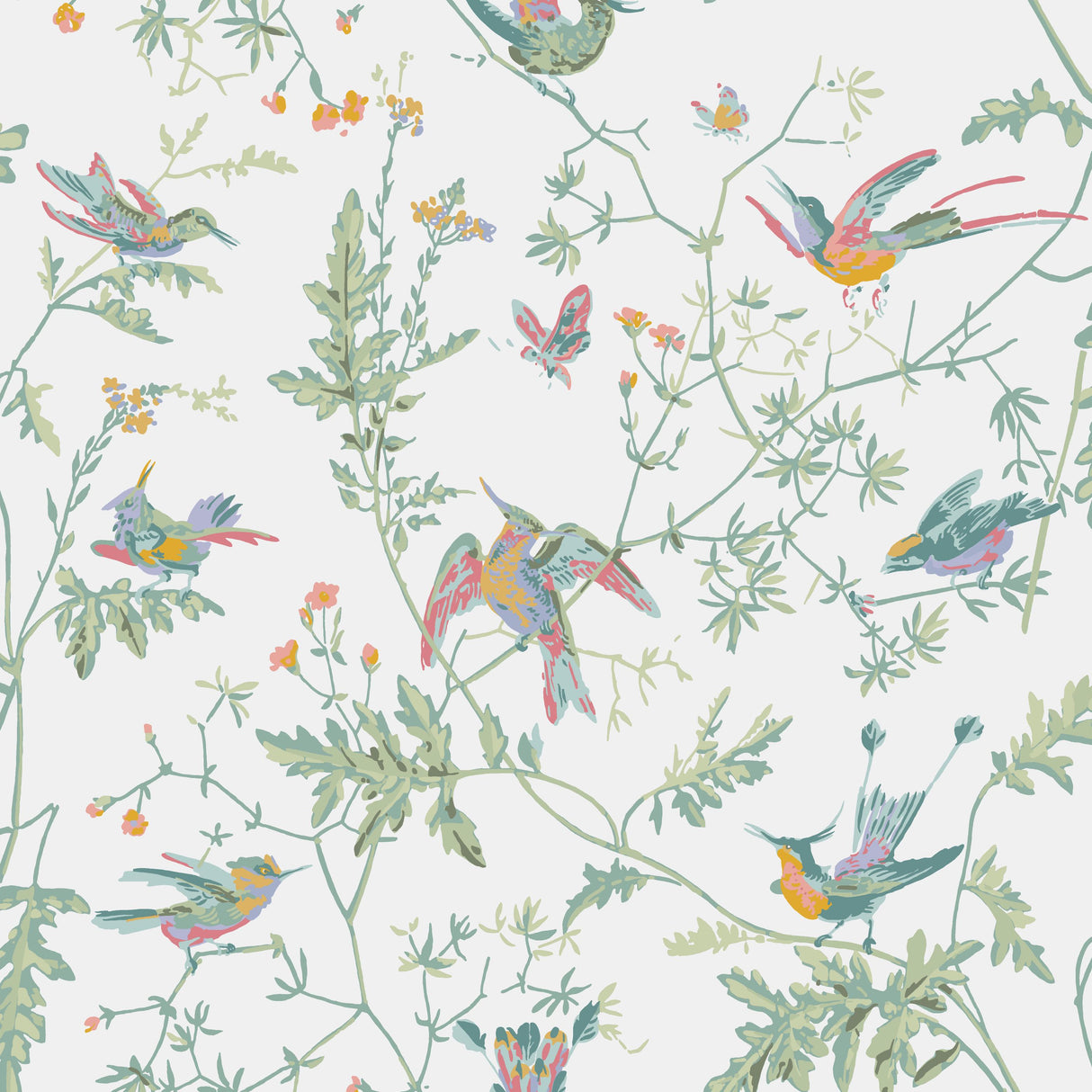 Cole & Son HUMMINGBIRDS PASTEL Wallpaper